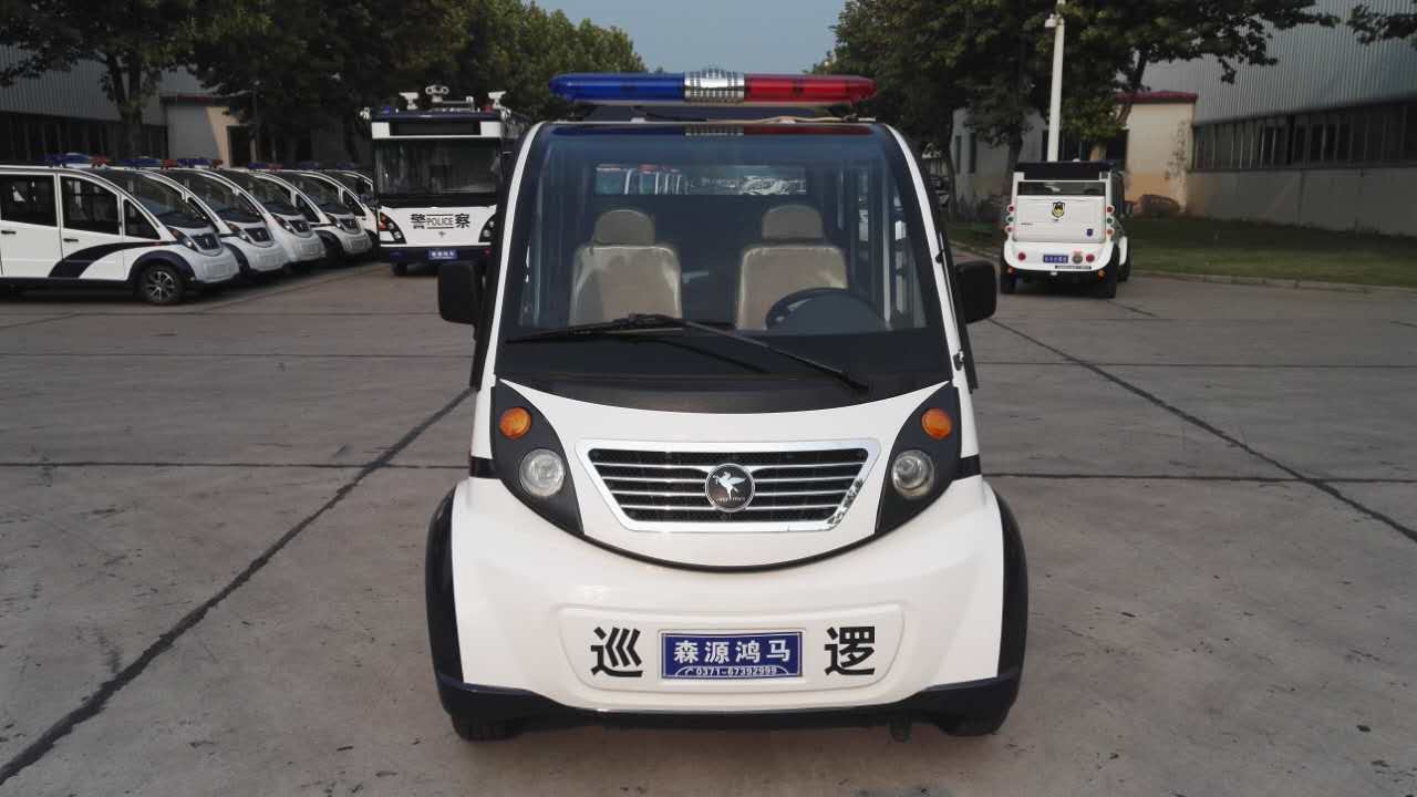 新鄭市遂成藥業(yè)采購電動(dòng)巡邏車(圖1)