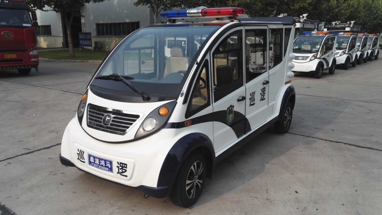 新鄭市遂成藥業(yè)采購電動(dòng)巡邏車(圖2)