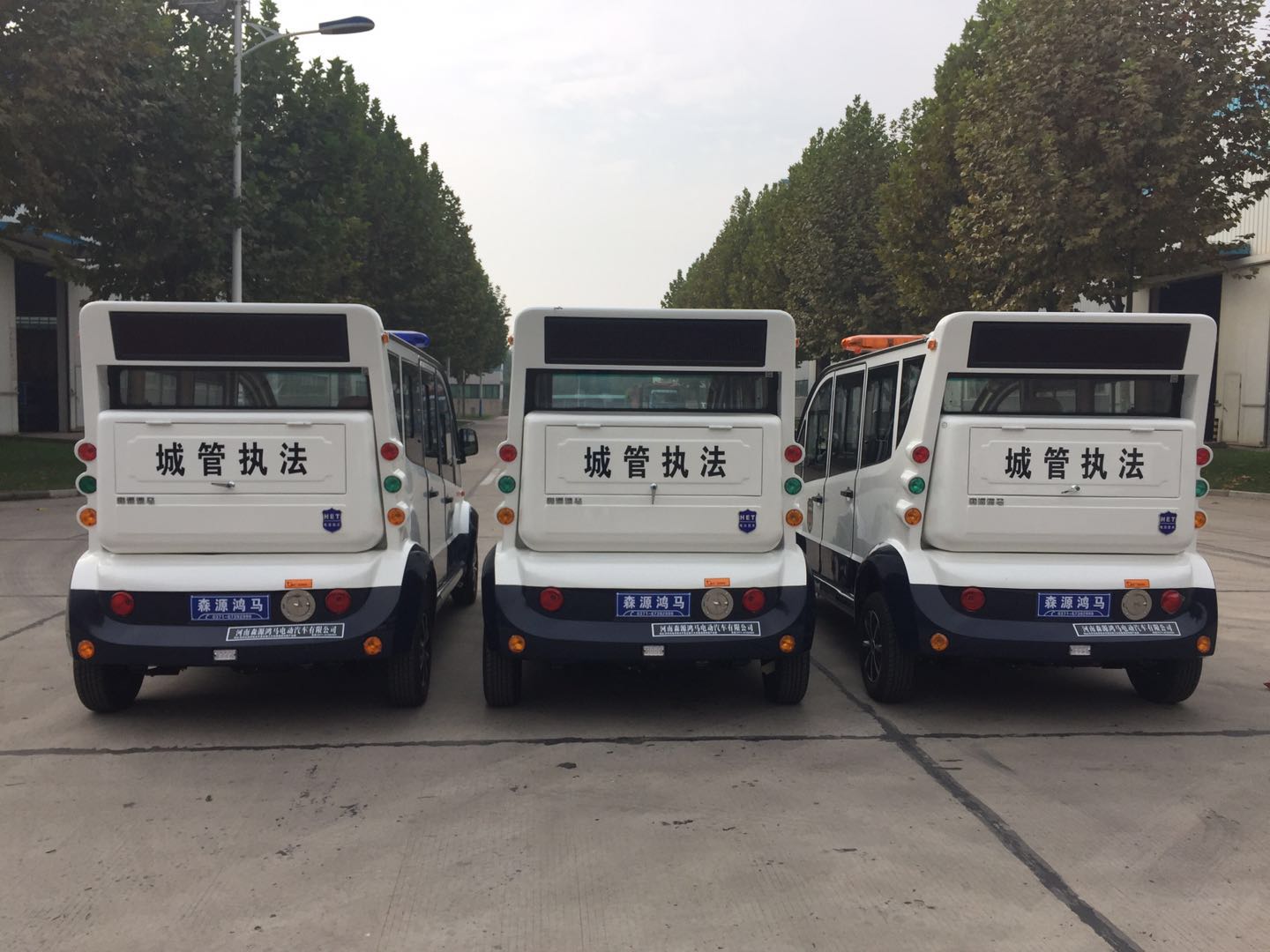 江西興國縣采購電動巡邏車(圖5)