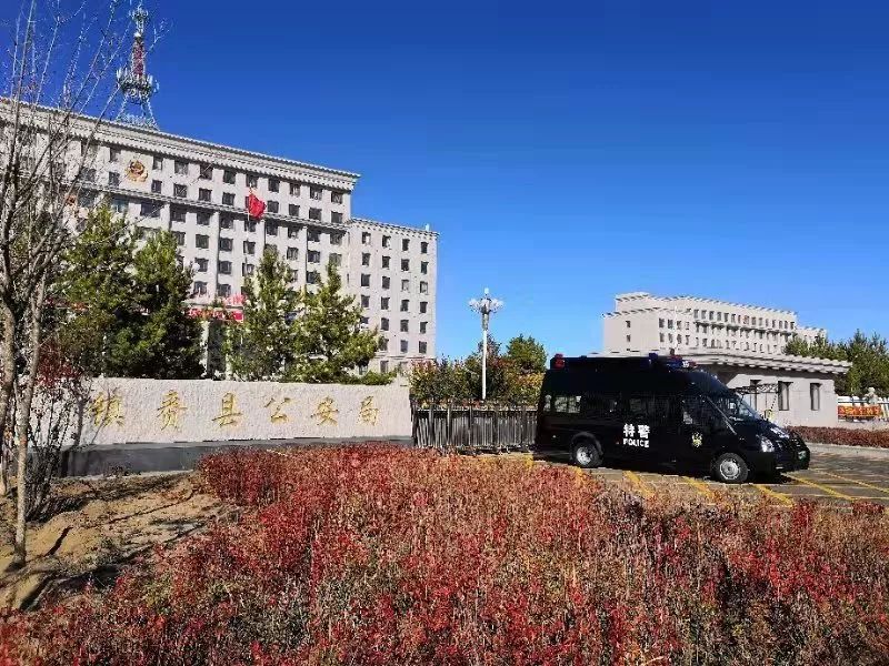 吉林鎮(zhèn)賚縣實戰(zhàn)運兵車列裝上崗(圖3)