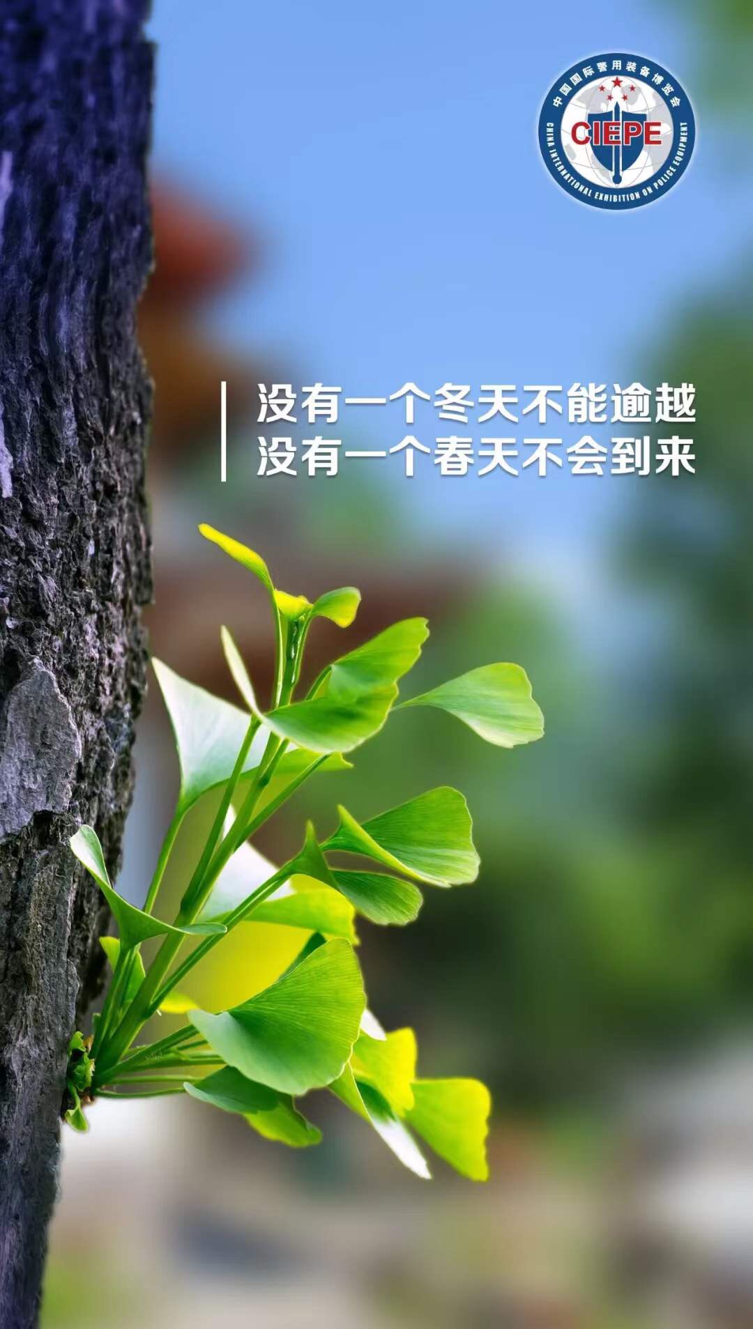 人民公安報評論員：大數(shù)據(jù)賦能助力科學防治(圖2)