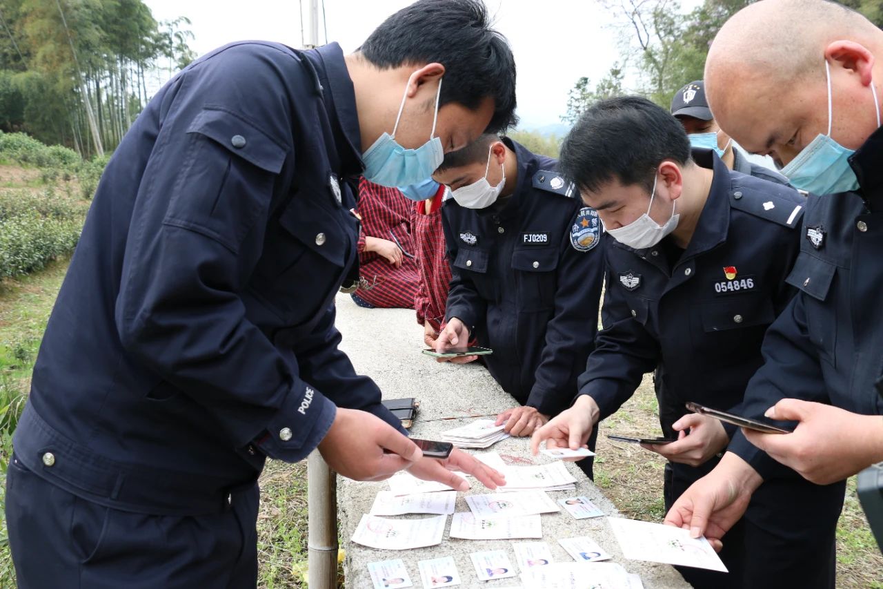 別慌，有警察在！講講采茶期遇上的那些事(圖6)