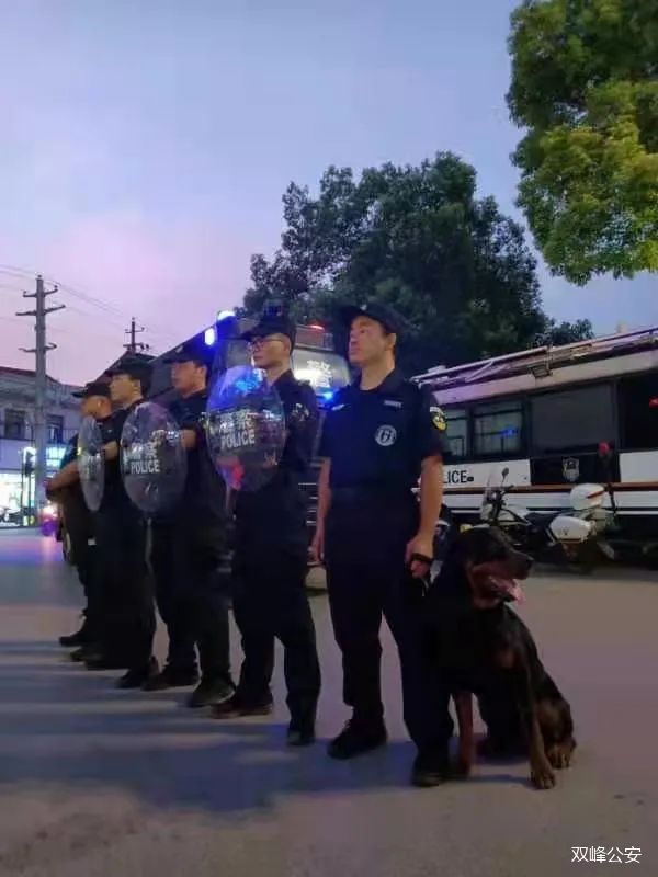 【湖南婁底】巡邏警犬已上崗，給你滿滿安全感！(圖2)