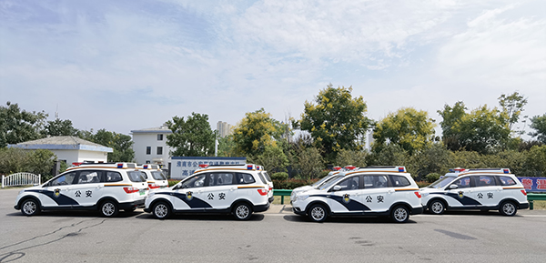 安徽鳳臺縣電動巡邏車上崗執(zhí)勤(圖3)